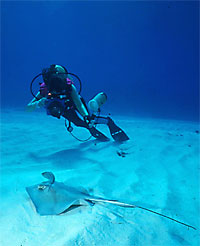 Linda photographing a ray